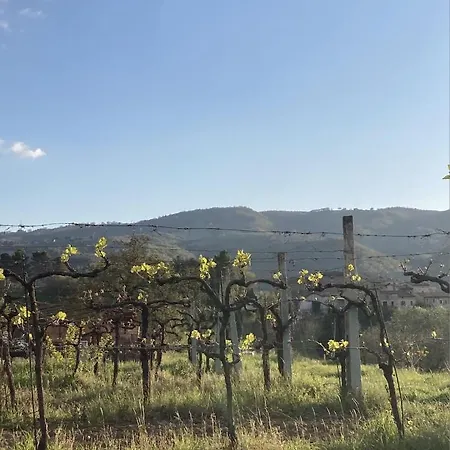 Un Posto Bevagna